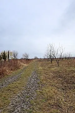 Satılır torpaq sahəsi 125 m²