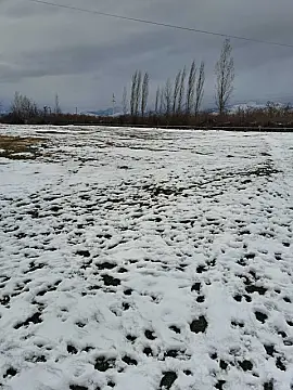 Satılır torpaq sahəsi 71 m²