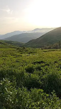 Satılır torpaq sahəsi 14 m² — Şamaxı 14.00 m²