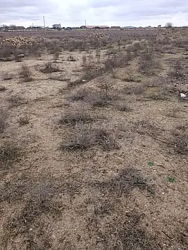 Satılır torpaq sahəsi 100 m²