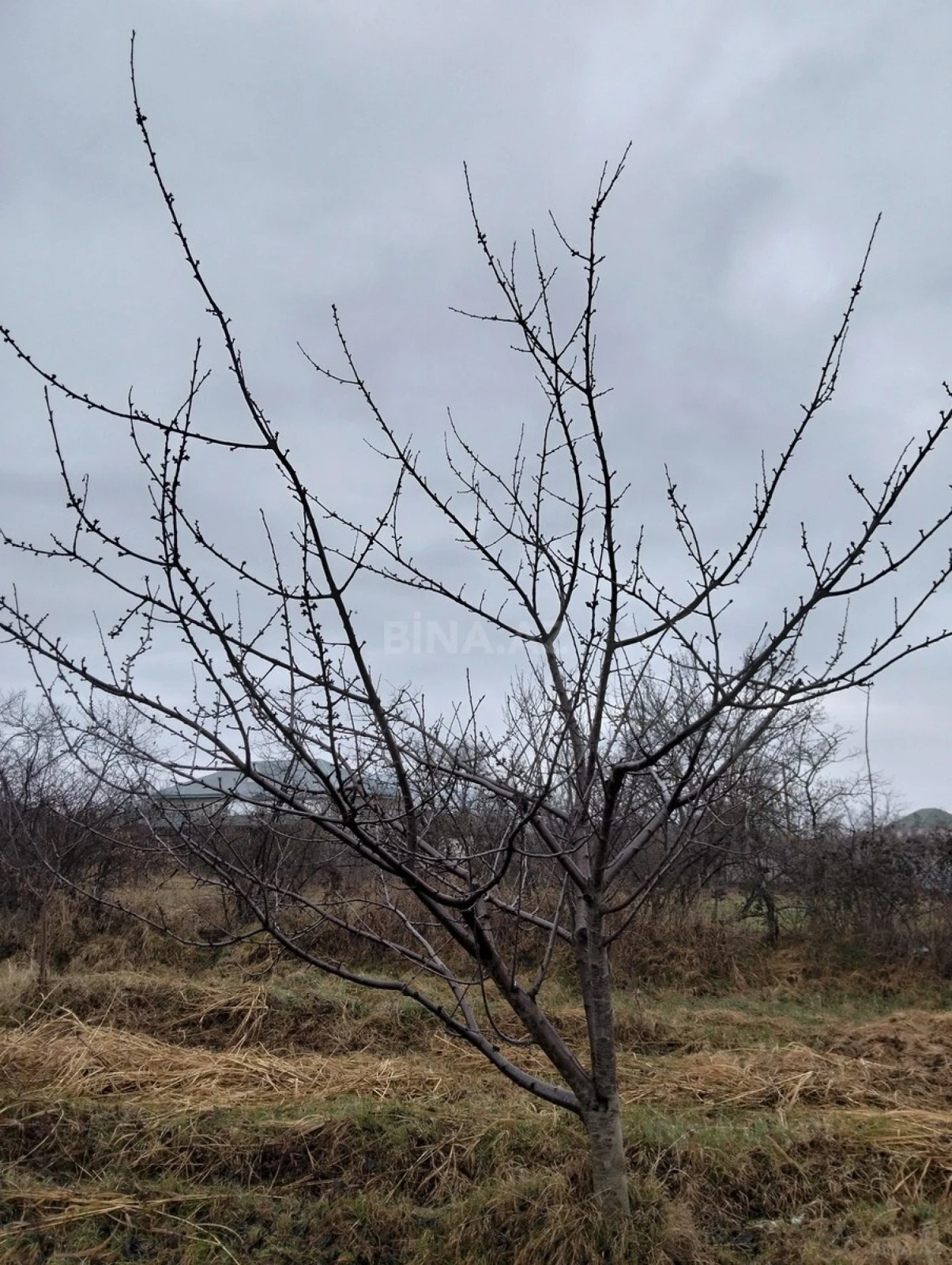 Satılır torpaq sahəsi 45 m²