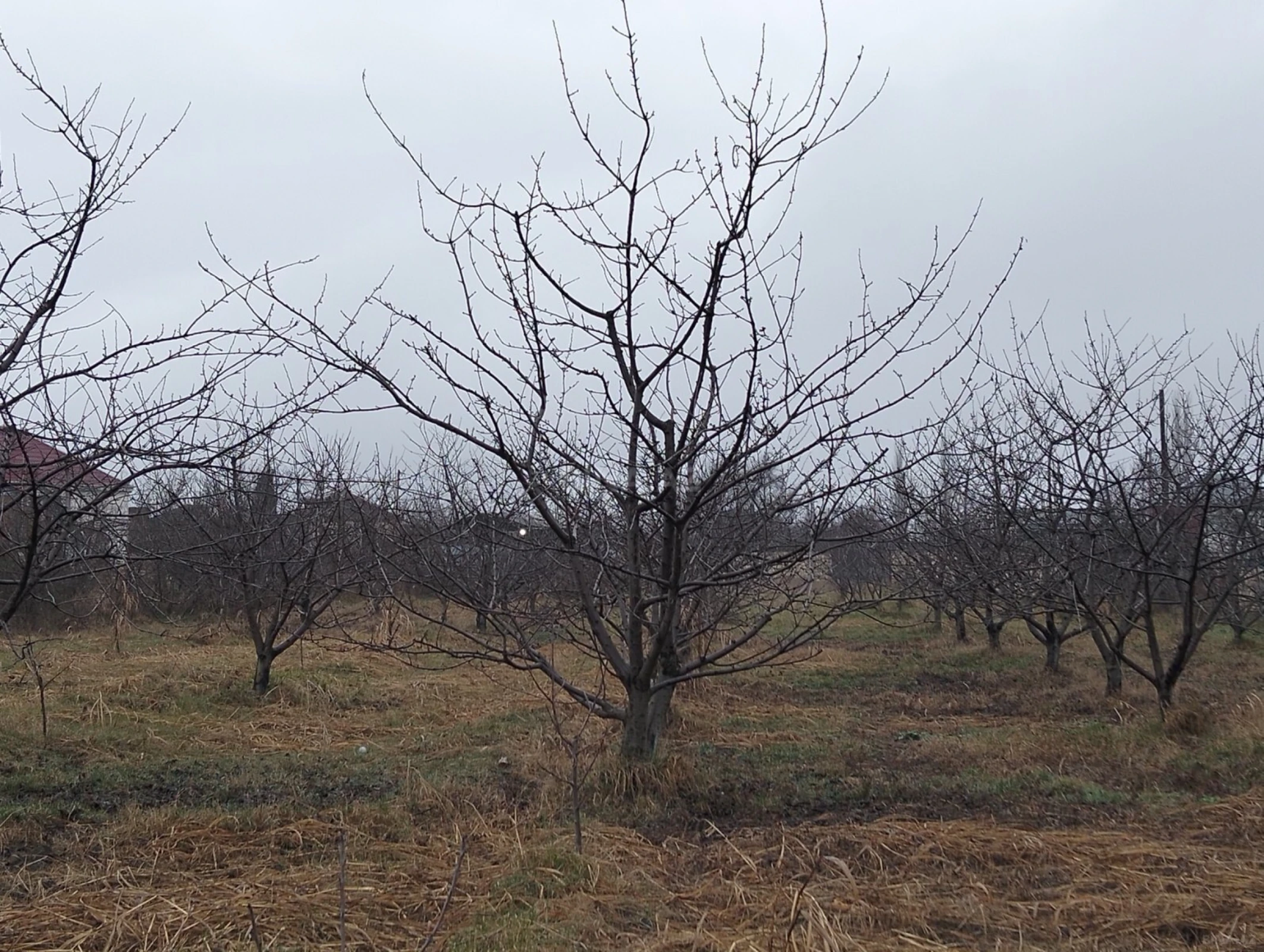 Satılır torpaq sahəsi 45 m²