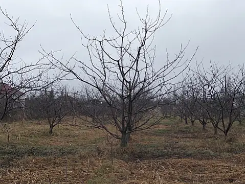 Satılır torpaq sahəsi 45 m²