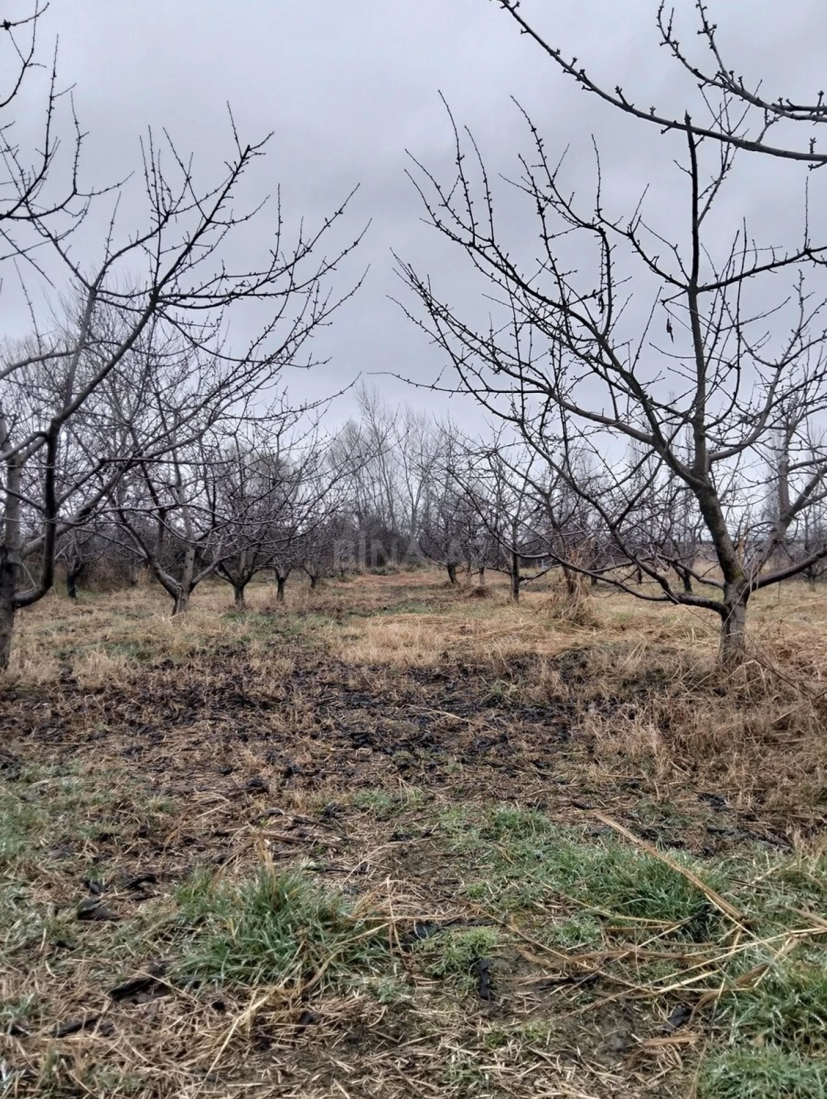 Satılır torpaq sahəsi 45 m²