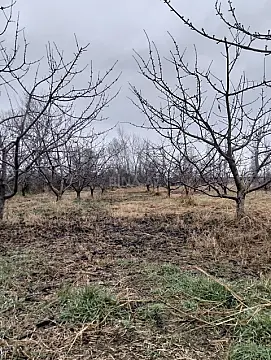 Satılır torpaq sahəsi 45 m²