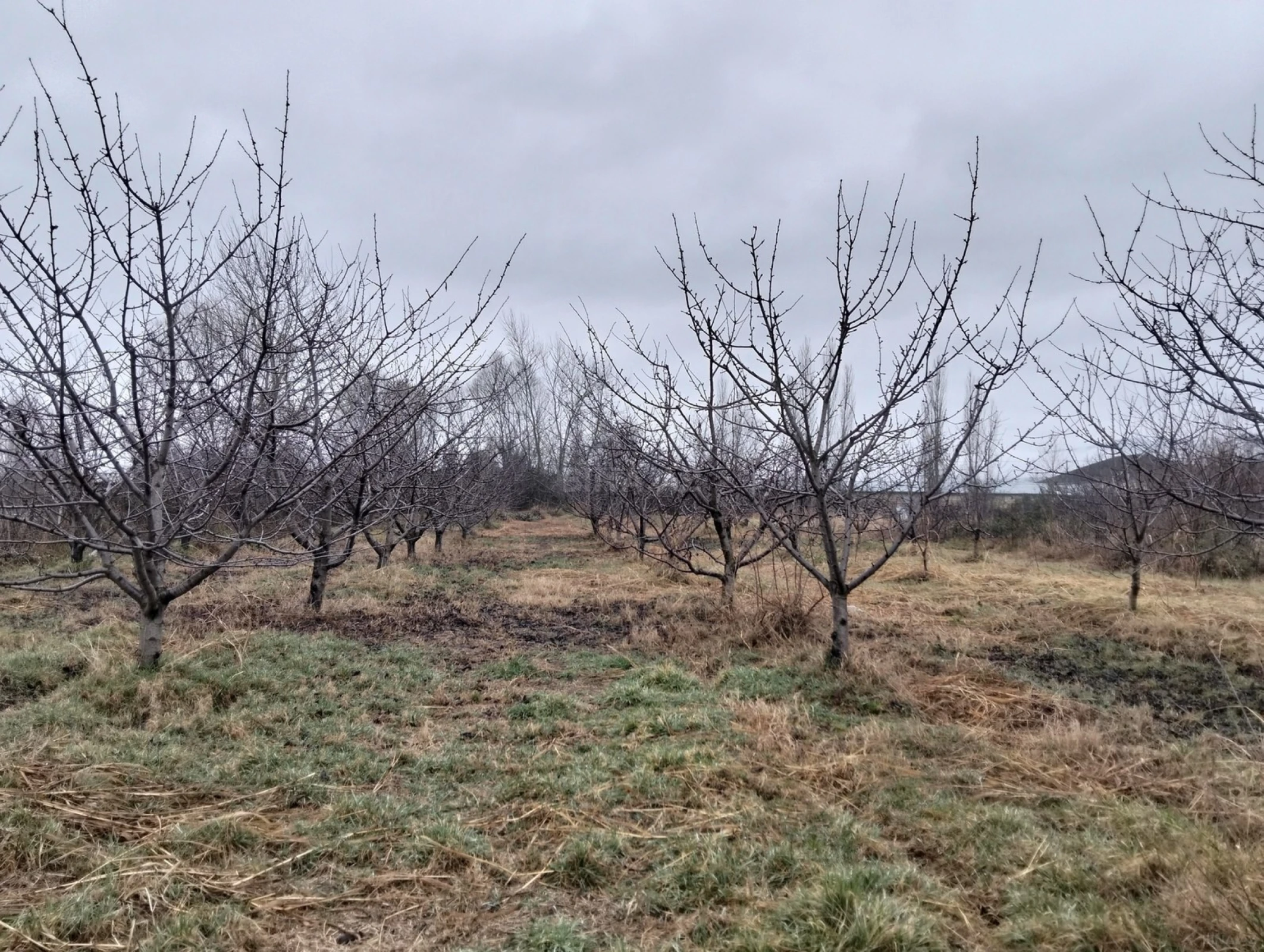 Satılır torpaq sahəsi 45 m²