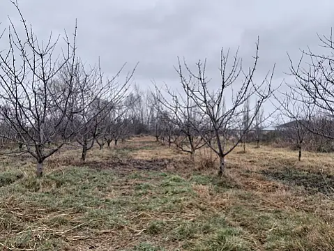 Satılır torpaq sahəsi 45 m²