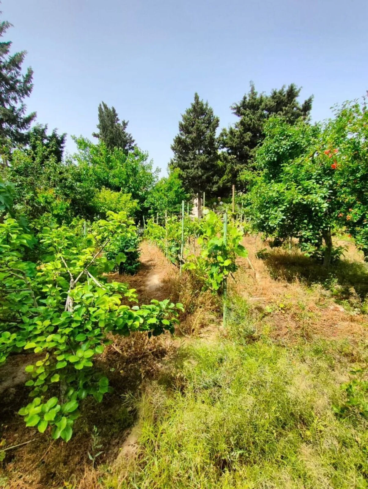 Satılır torpaq sahəsi 14 m²