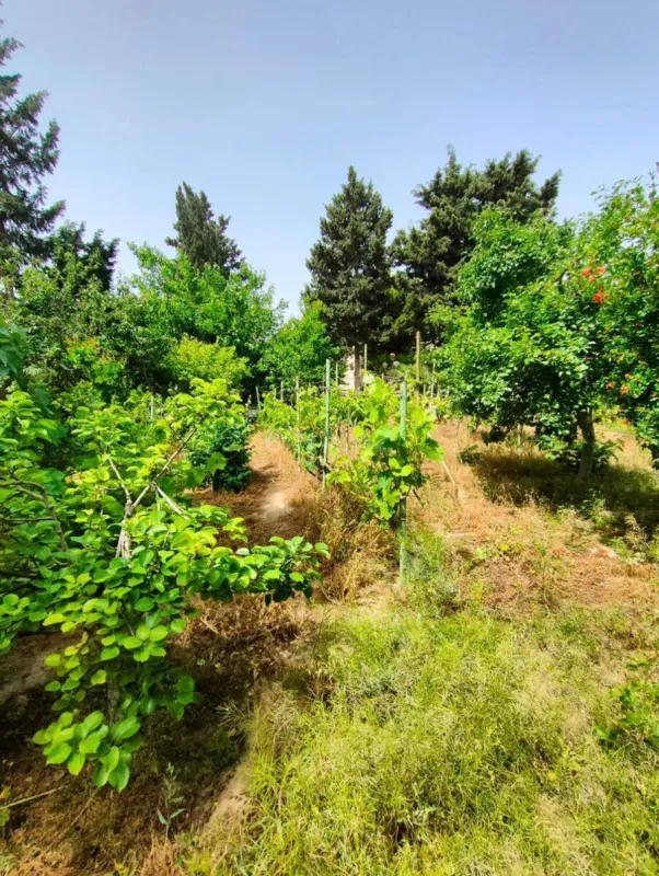 Satılır torpaq sahəsi 14 m²