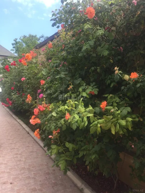 Satılır 5 otaqlı həyət evi 205 m²