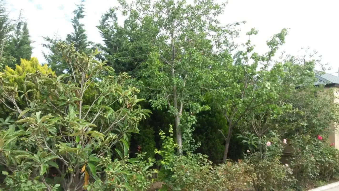 Satılır 5 otaqlı həyət evi 205 m²