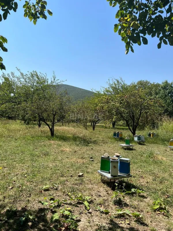 Satılır torpaq sahəsi 24 m²