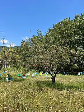 Satılır torpaq sahəsi 24 m²