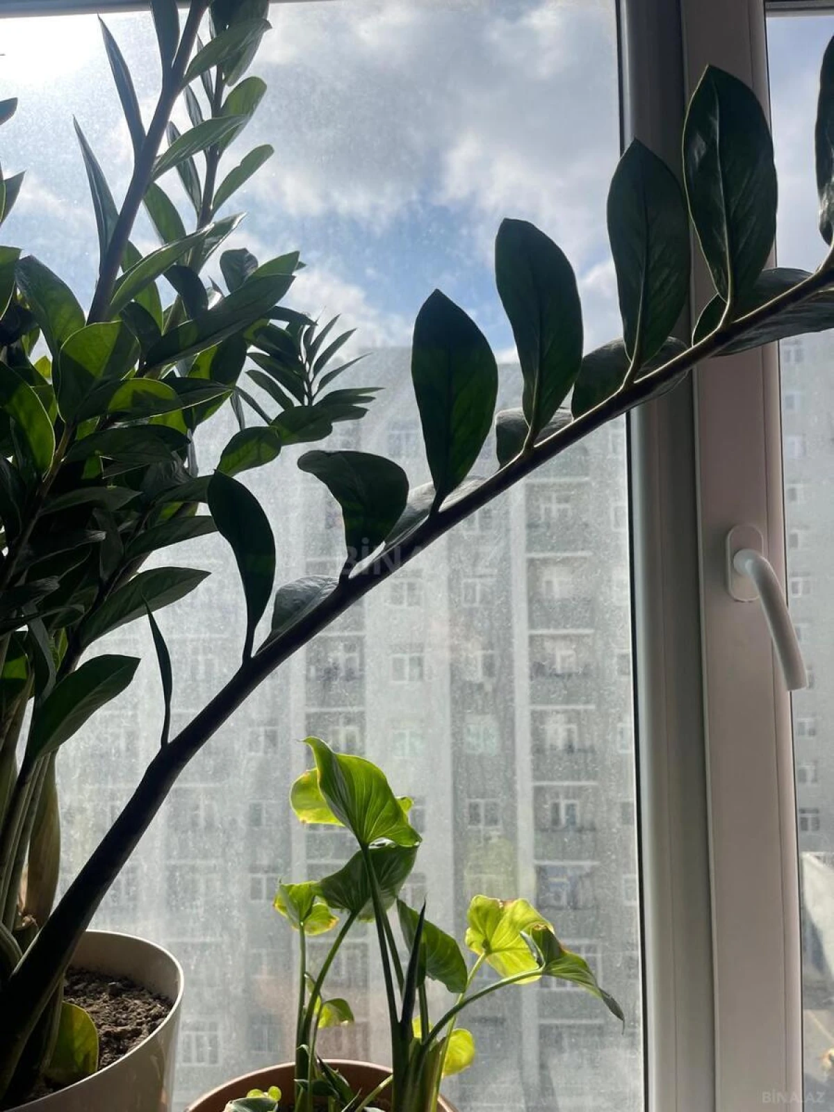 Satılır 3 otaqlı mənzil 73 m²