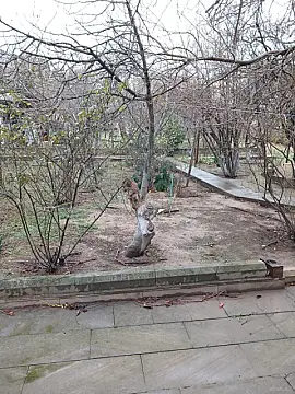 Satılır torpaq sahəsi 8 m²