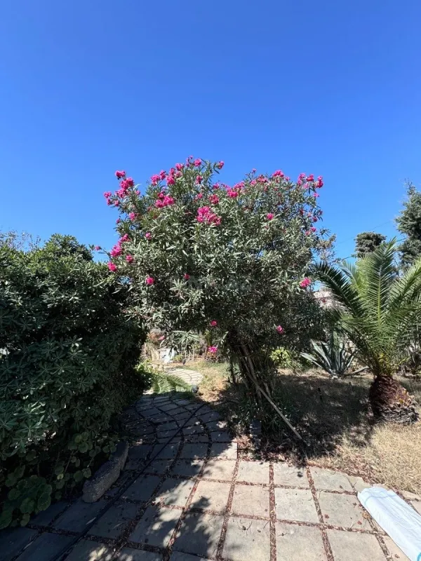 Kirayə verilir 6 otaqlı həyət evi 500 m²