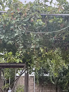 Satılır torpaq sahəsi 26 m²