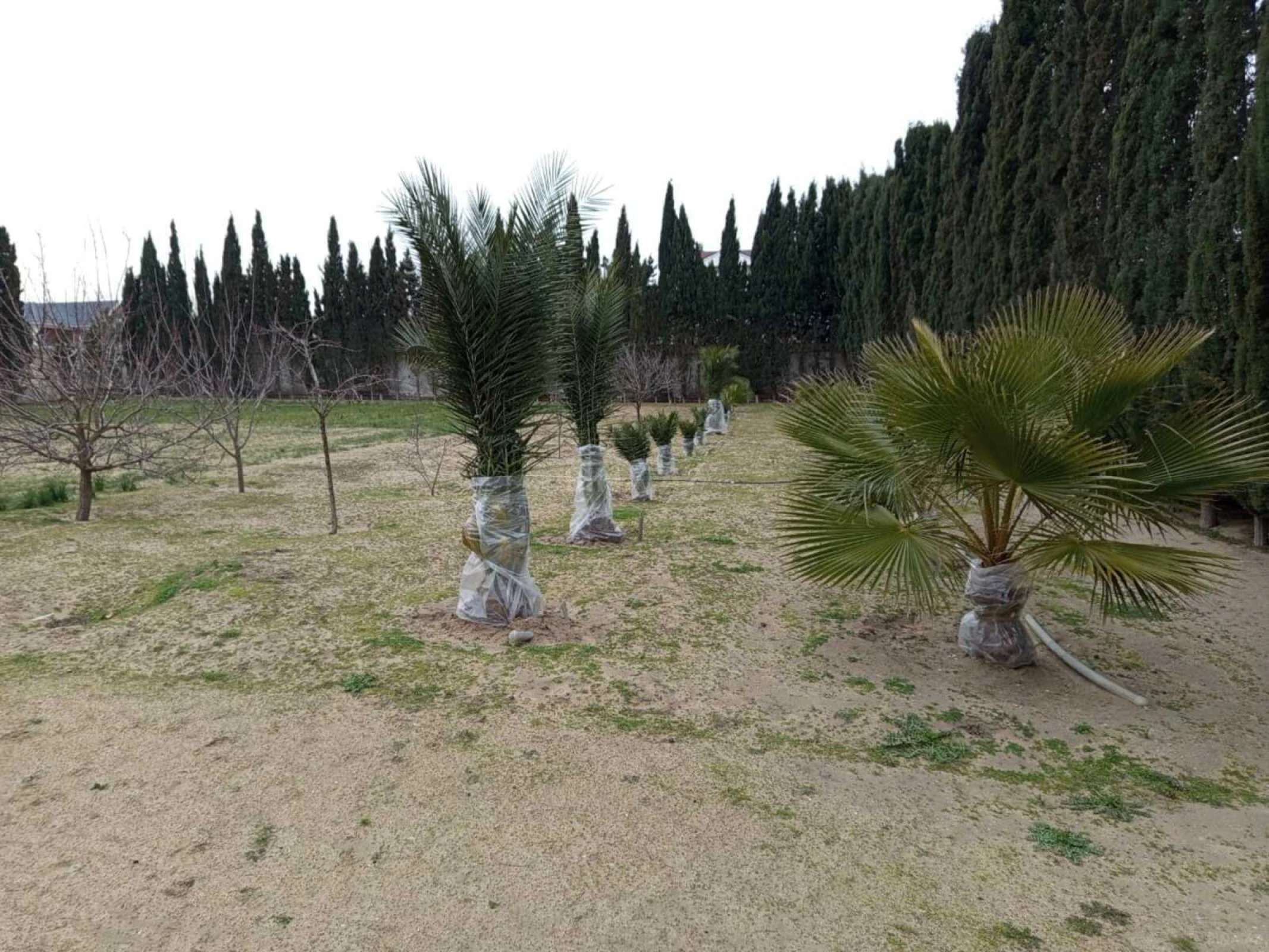 Satılır torpaq sahəsi 28 m²