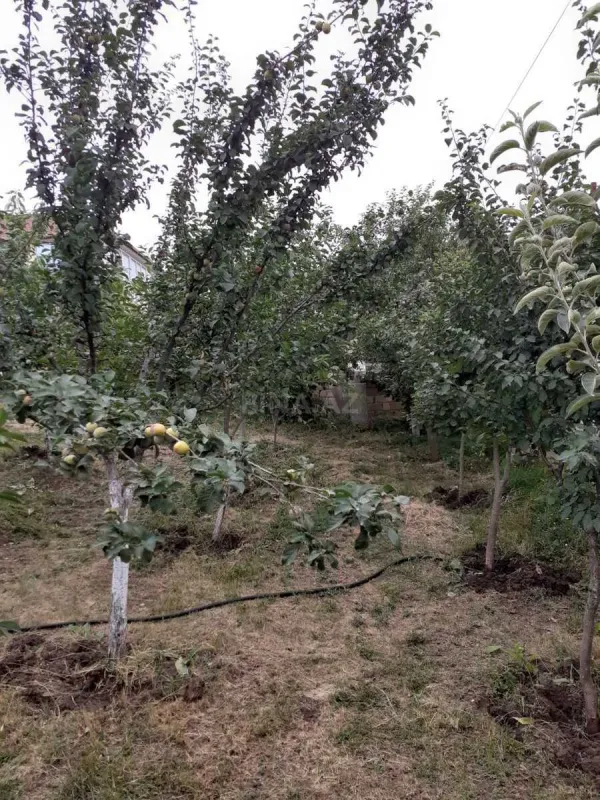 Satılır 5 otaqlı həyət evi 165 m²