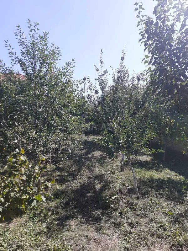 Satılır 5 otaqlı həyət evi 165 m²