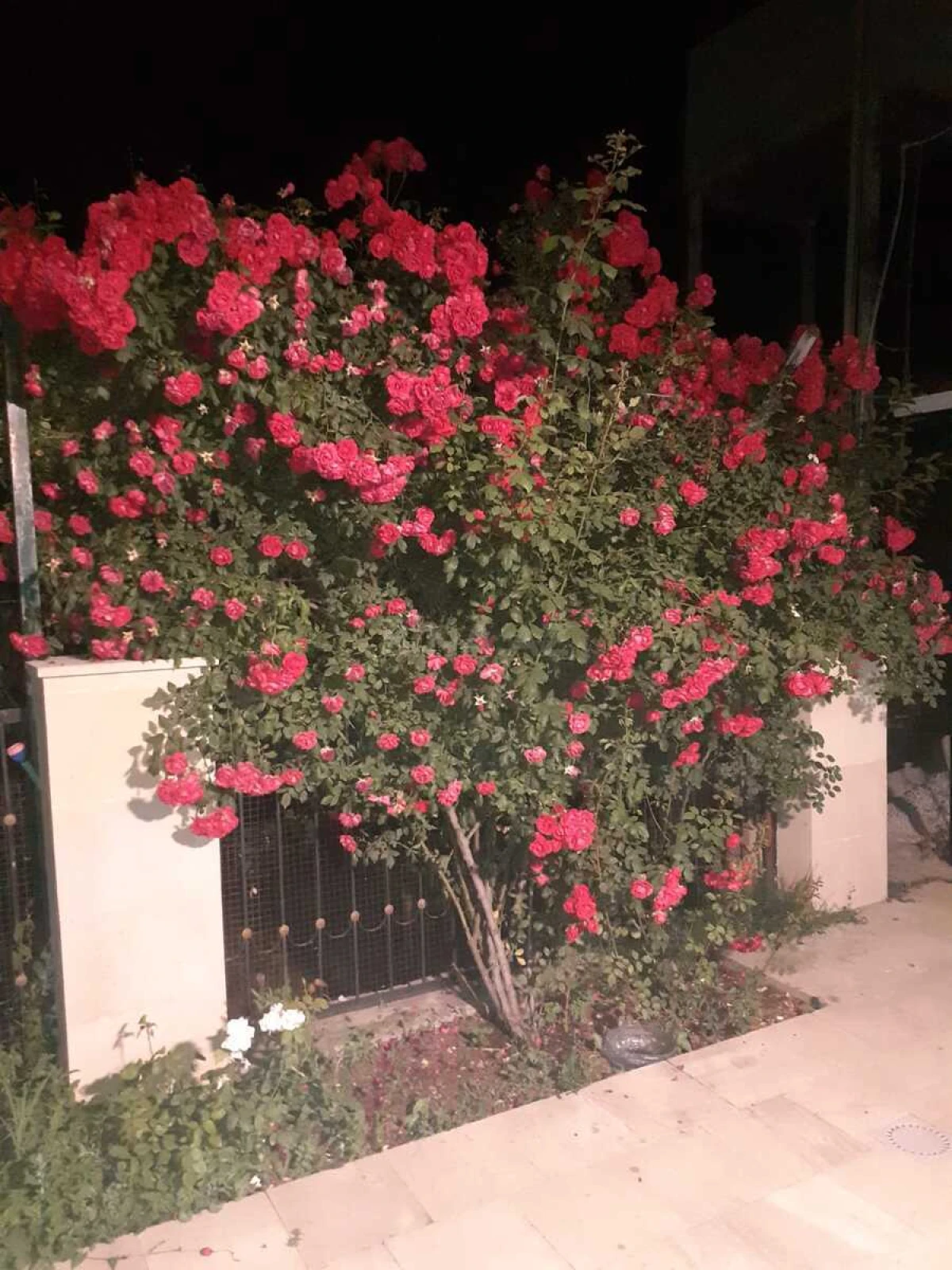 Satılır 5 otaqlı həyət evi 165 m²