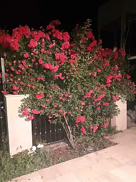 Satılır 5 otaqlı həyət evi 165 m²