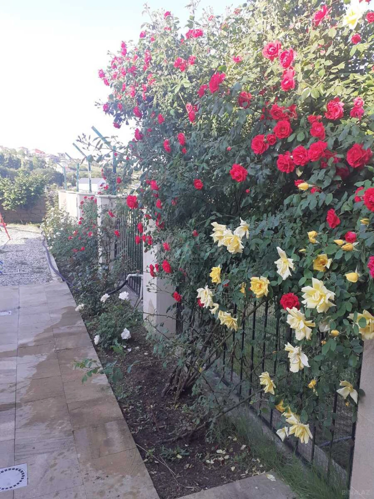 Satılır 5 otaqlı həyət evi 165 m²