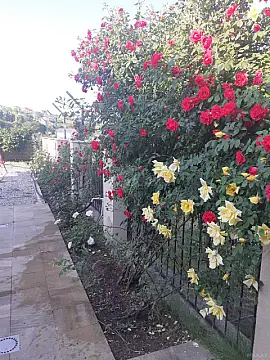 Satılır 5 otaqlı həyət evi 165 m²