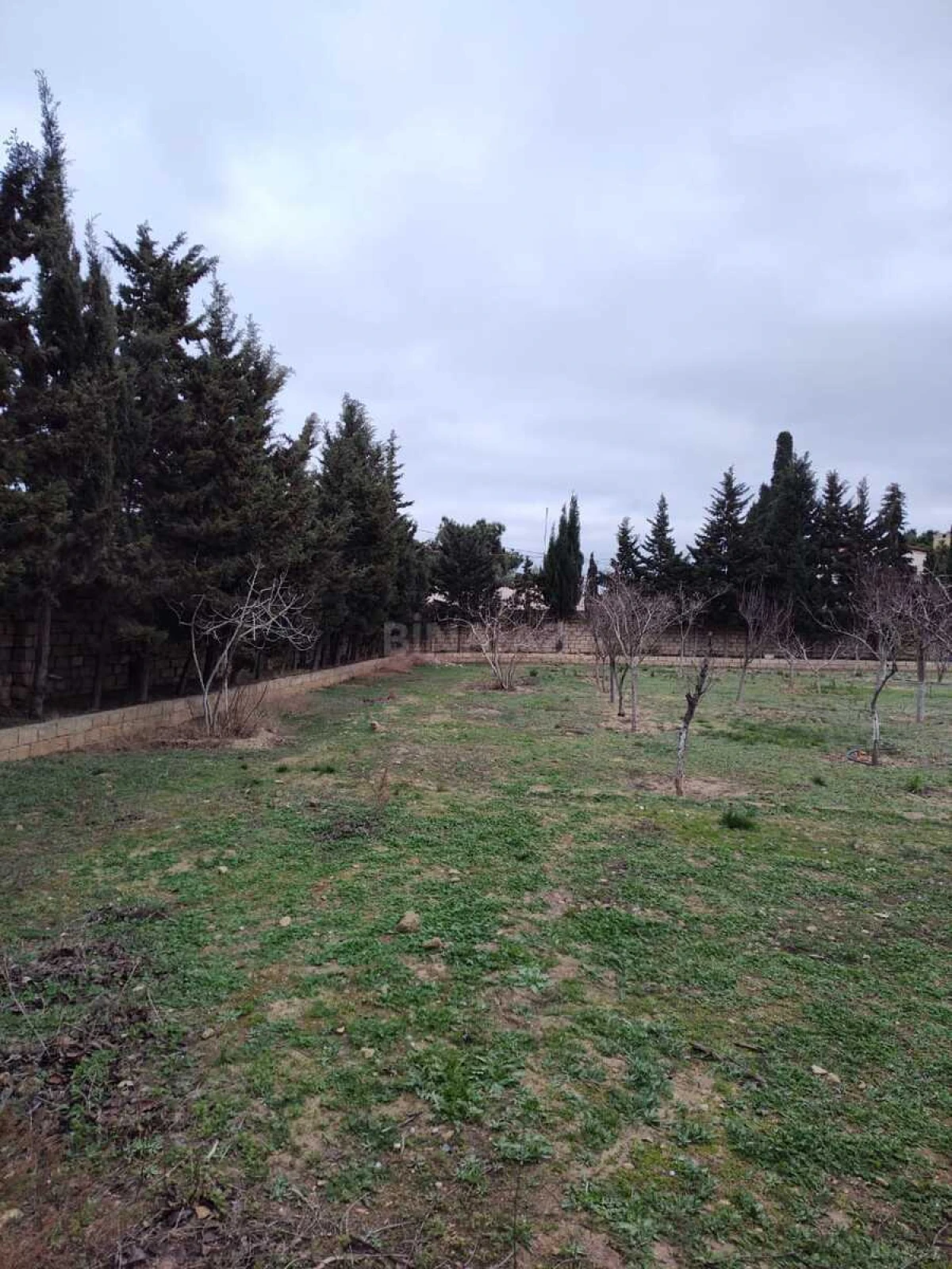 Satılır torpaq sahəsi 33.1 m²