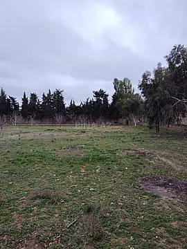 Satılır torpaq sahəsi 33.1 m²