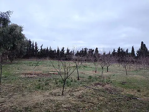 Satılır torpaq sahəsi 33.1 m²