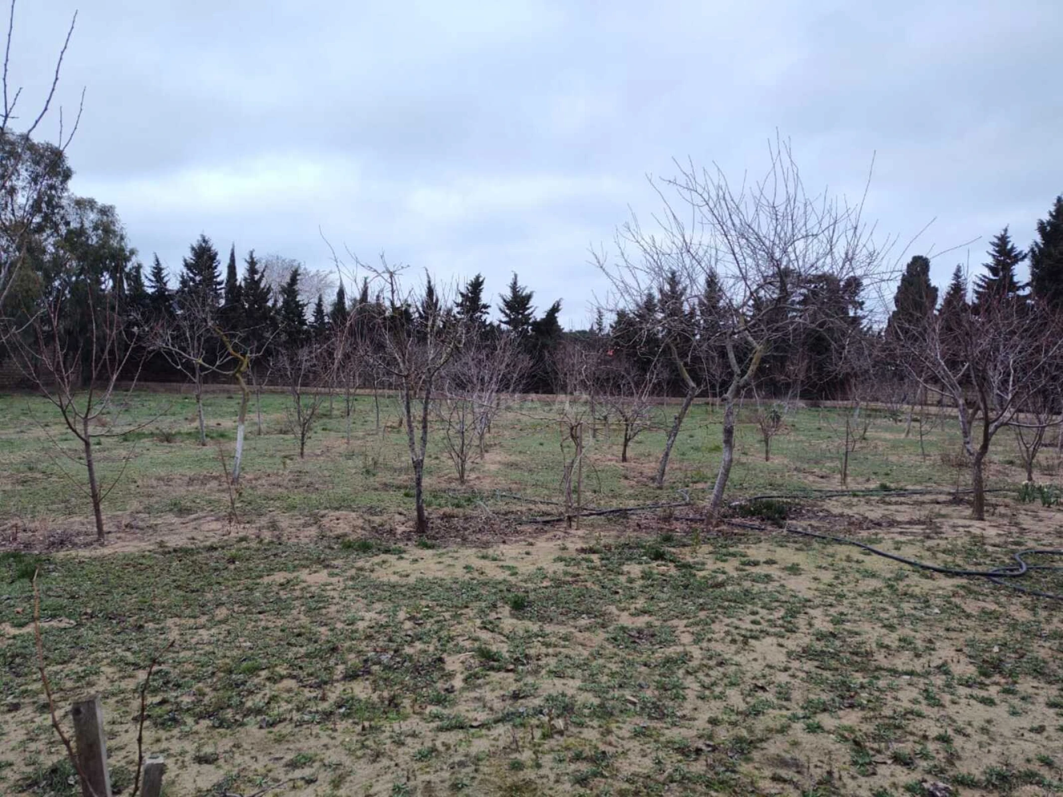 Satılır torpaq sahəsi 33.1 m²