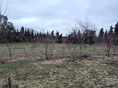 Satılır torpaq sahəsi 33.1 m²