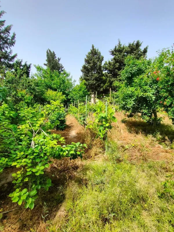 Satılır 4 otaqlı həyət evi 100 m²