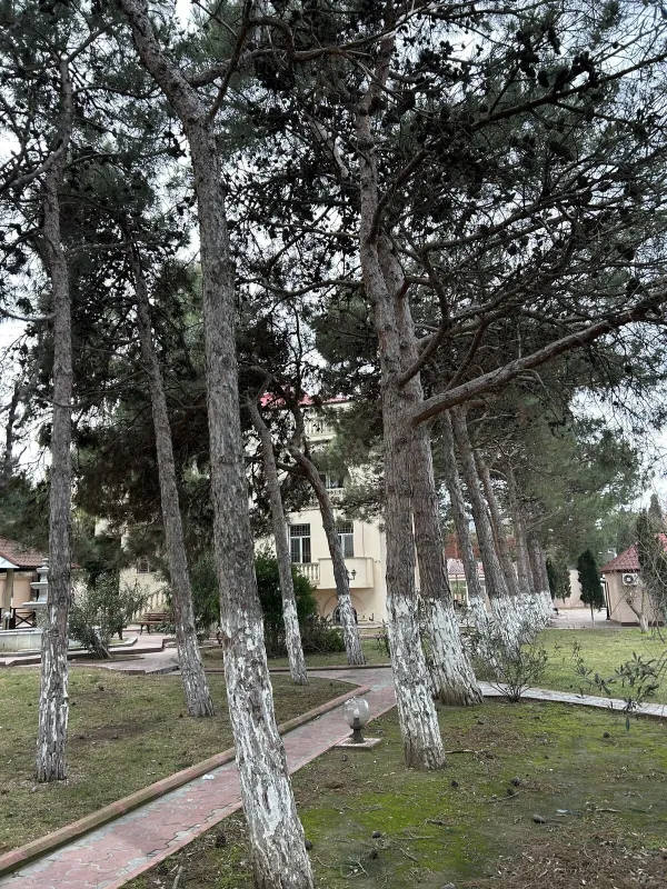 Satılır 8 otaqlı həyət evi 619 m²