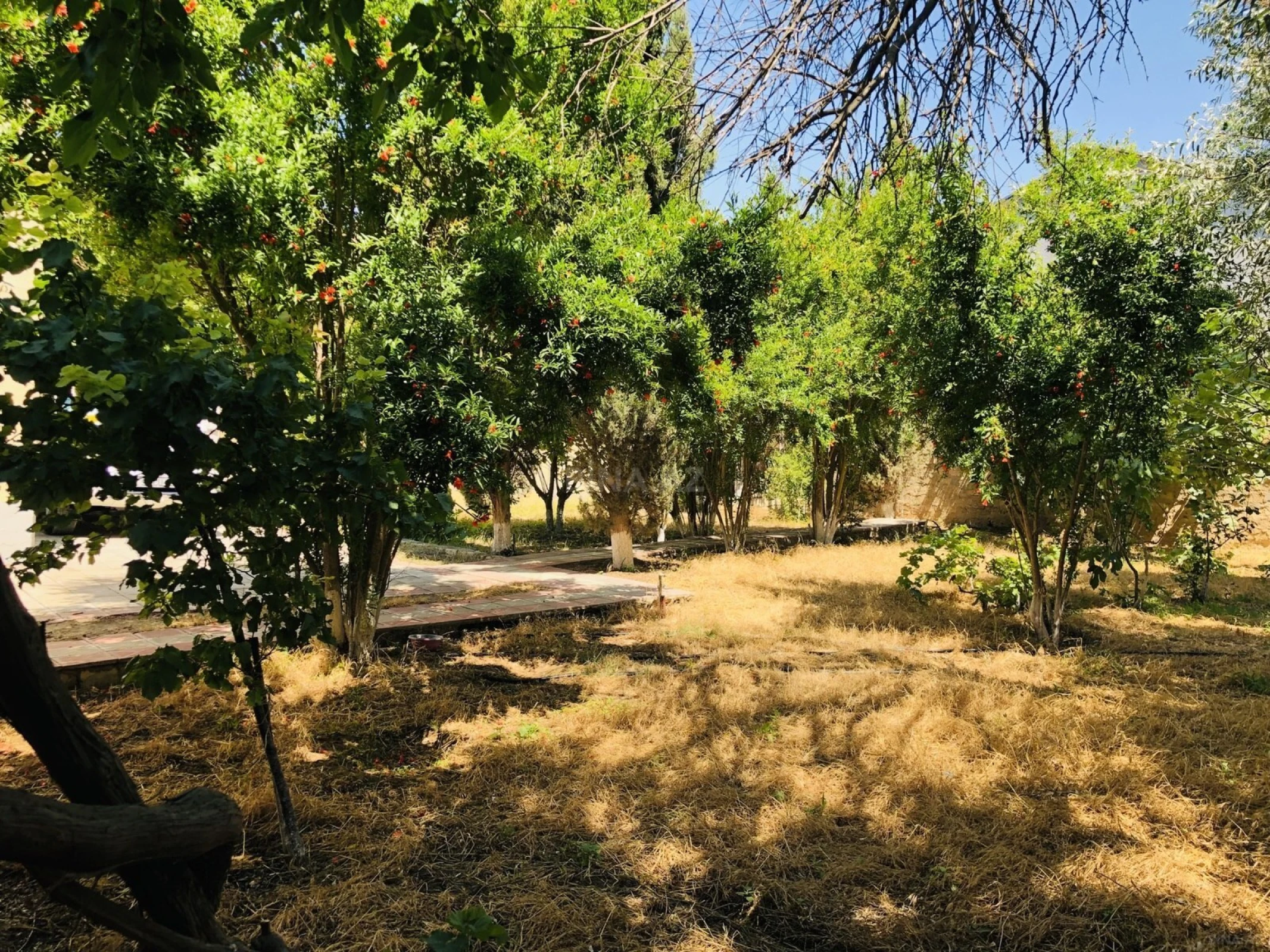 Kirayə verilir 5 otaqlı həyət evi 100 m²