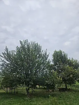 Satılır torpaq sahəsi 3000 m²