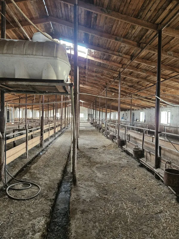 Satılır torpaq sahəsi 3000 m²