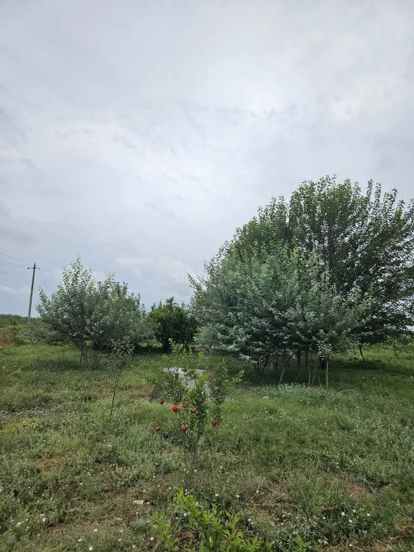 Satılır torpaq sahəsi 3000 m²