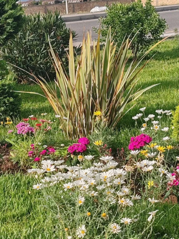 Satılır 5 otaqlı həyət evi 354 m²