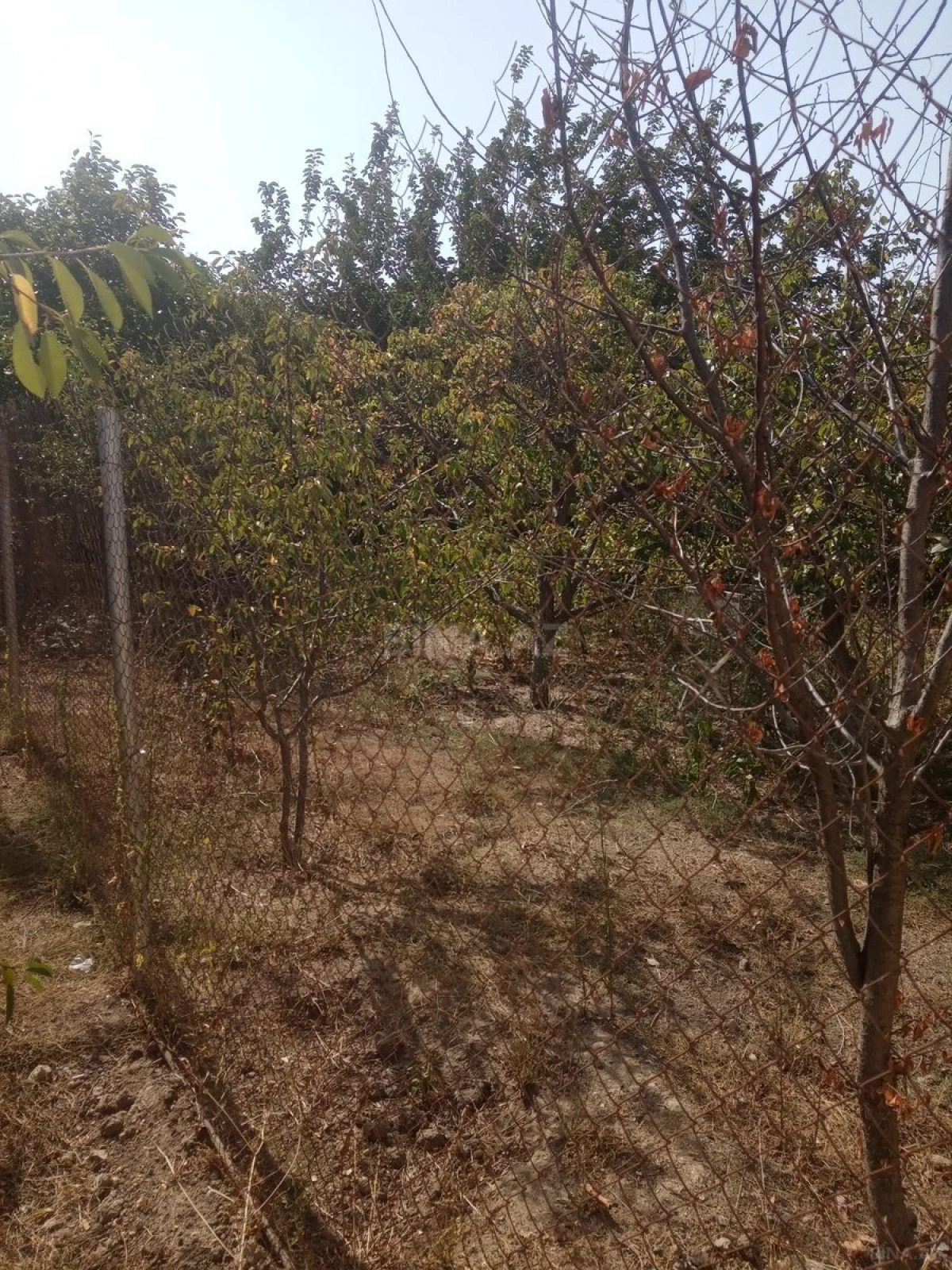 Satılır torpaq sahəsi 6 m²