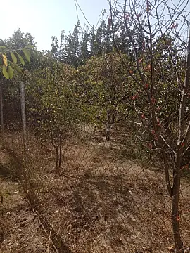 Satılır torpaq sahəsi 6 m²