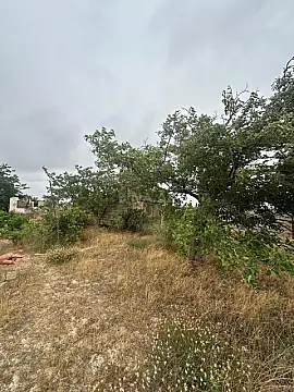 Satılır torpaq sahəsi 25 m²