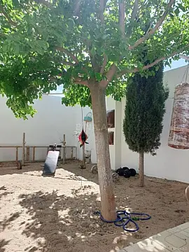 Kirayə verilir 4 otaqlı həyət evi 100 m²