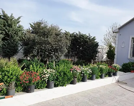 Kirayə verilir 4 otaqlı həyət evi 100 m²