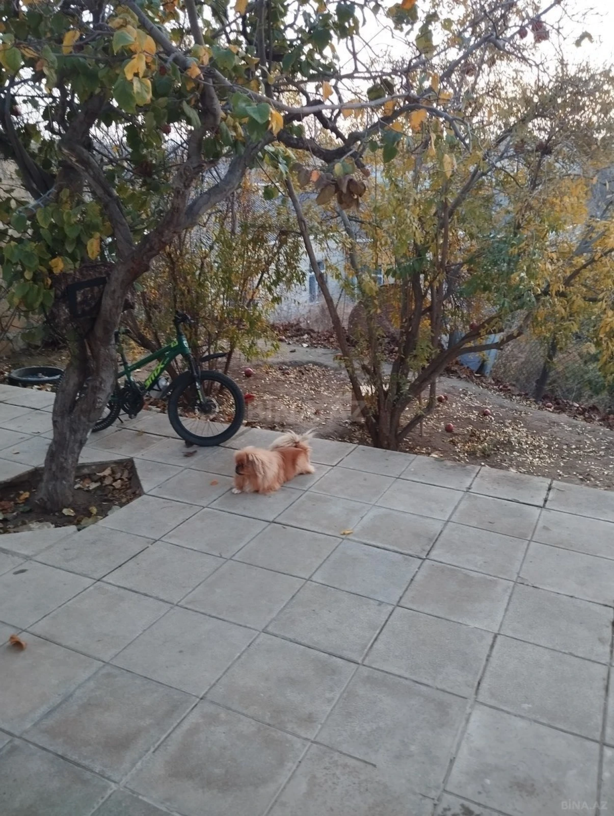 Satılır 2 otaqlı həyət evi 80 m²