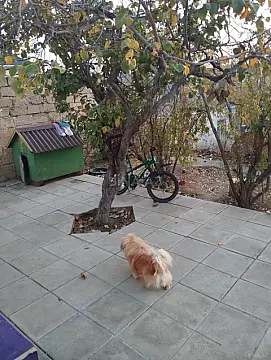 Satılır 2 otaqlı həyət evi 80 m²