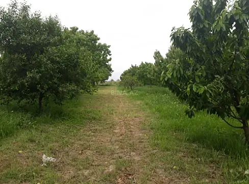 Satılır torpaq sahəsi 10 m² — Samux 10.00 m²