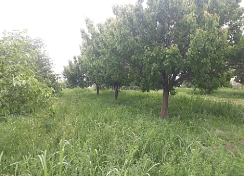 Satılır torpaq sahəsi 10 m²