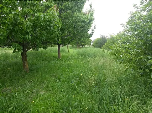 Satılır torpaq sahəsi 10 m²